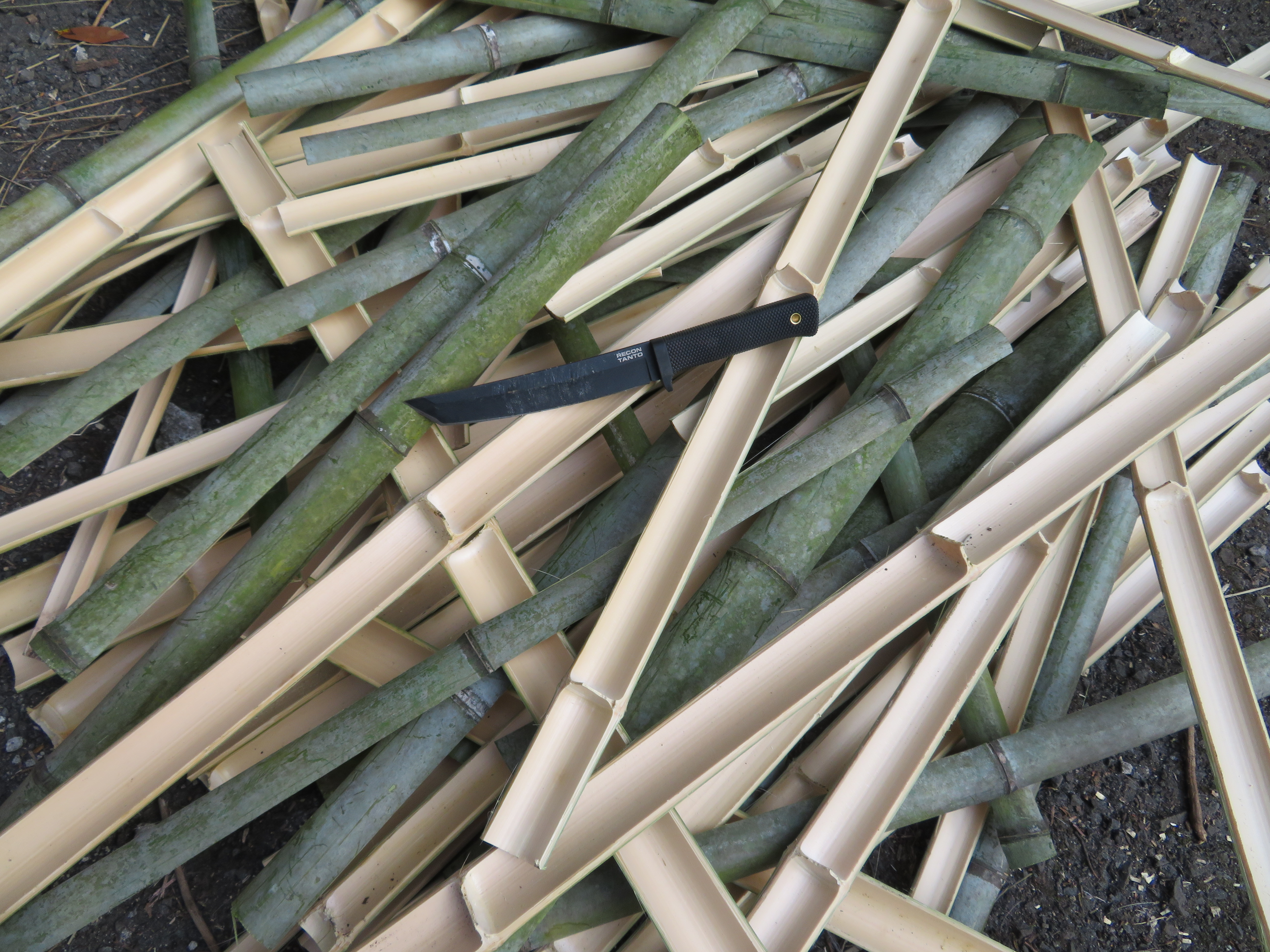 Cold Steel Recon Tanto v akci – sekání zelených bambusů